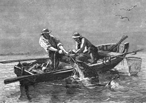 Fisherfolk Gallery: Hauling in a Drum-Fish; A Flying Visit to Florida, 1875. Creator: Thomas Mayne Reid
