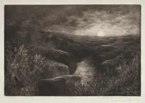 1818 1910 Prints: Haunt of the Mosquito. Creator: Francis Seymour Haden (British, 1818-1910)