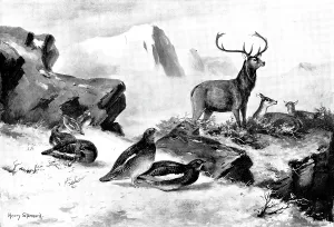 Antler Prints: The Haunt of the Ptarmigan, 1898. Creators: Unknown, Henry Stannard