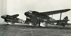 The De Havilland Ambulance, 1941. Creator: Unknown