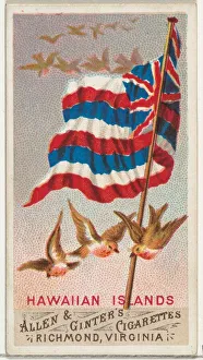 Hawaii Prints: Hawaiian Islands, from Flags of All Nations, Series 1 (N9) for Allen &amp