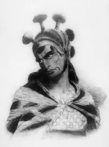 Exploration Gallery: Hawaiian warrior wearing a helmet with a mushroom ornamented crest, 1819