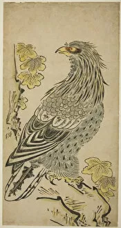 Hand Coloured Woodblock Print Gallery: A Hawk on a Cliff near a Kiri Tree, c. 1716. Creator: Torii Kiyomasu I