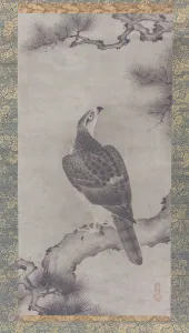 Hawk on a Pine (Shoo zu), 16th century. Creator: Kano Yukinobu Hawk on a Pine (Shoo zu), 16th century. Creator: Kano Yukinobu