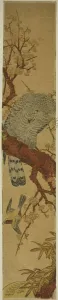 Hawk Prints: Hawk on Plum Branch Looking Down at Fleeing Bird, c. 1775. Creator: Isoda Koryusai