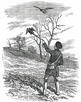 Falconer Prints: Hawking - the Lure, 1850. Creator: Unknown