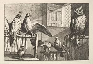 Birds Of Prey Gallery: Hawks and owls, 1625-77. Creator: Wenceslaus Hollar