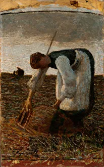 The hay harvest The hay harvest