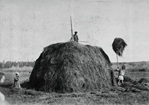 Popov I Prints: Haymaking, late 19th cent - early 20th cent. Creator: I Popov