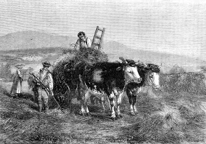 Haycart Prints: Haymaking in Switzerland - painted by H