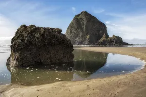 Erosion Gallery: Haystack Rock. Creator: Joshua Johnston