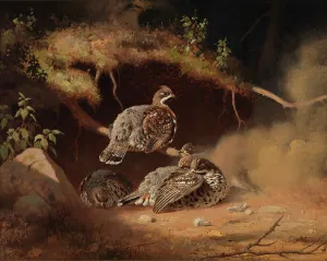 Wright Ferdinand Von Prints: Hazel Grouse Wallowing in Sand, 1877. Creator: Ferdinand von Wright