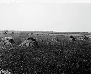 H.E. Garvin's farm, Tracey [sic], Minn. between 1880 and 1899. Creator: Unknown