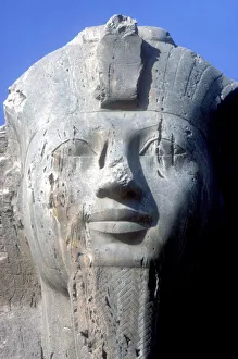 Beast Prints: Head detail of Alabaster Sphinx
