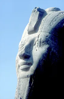 Head detail of Alabaster Sphinx, Memphis, Egypt, 18th or 19th Dynasty, c14th-13th century BC