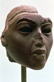 Images Dated 21st February 2007: Head of the Ancient Egyptian Queen Tiye, c1388-1340 BC