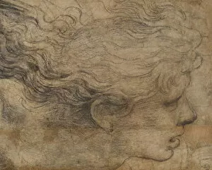 Raffaello Santi Gallery: Head of an Angel. Creator: Raphael (Raffaello Sanzio da Urbino) (1483-1520)