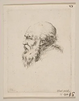 Head of a Bald and Bearded Old Man in Profile, from Various heads and figures Head of a Bald and Bearded Old Man in Profile, from Various heads and figures