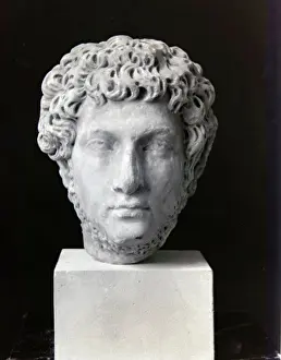 Bust Prints: Head of a Bearded Man, between 146 and 211 CE. Creator: Unknown