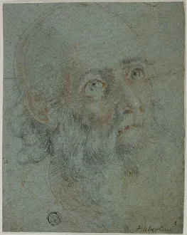 Laid Card Prints: Head of a Bearded Man, Looking Up to Right: Study for Saint Catherine of Alexandria