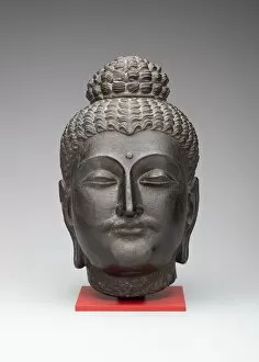 3rd Century Collection: Head of Buddha, Kushan period, 2nd / 3rd century. Creator: Unknown