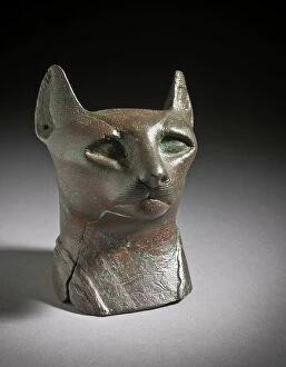 Feline Collection: Head of a Cat, 712-332 B.C.. Creator: Unknown