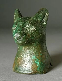 Feline Collection: Head of Cat, Probably Ptolemaic Period (323-30 BCE). Creator: Unknown
