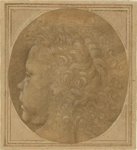 Silverpoint Prints: Head of a Child [recto], c. 1490. Creator: Fra Bartolomeo