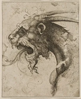 Chimaera Gallery: Head of a Chimera