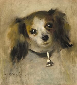 Auguste Gallery: Head of a Dog, 1870. Creator: Pierre-Auguste Renoir