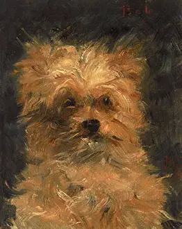 Lap Dog Prints: Head of the dog 'Bob', c1876. Creator: Manet, Edouard (1832-1883)
