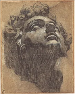 Art Gallery Of South Australia Collection: Head of Giuliano de Medici (1479?1516), 1540s. Artist: Tintoretto, Jacopo (1518-1594)