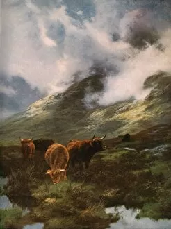 Cattle Collection: The Head of the Glen, 1894, (c1930). Creator: Peter Graham