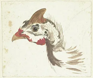 Watchfulness Prints: Head of a Helmeted Guineafowl, 1720-1792. Creator: Aert Schouman