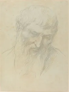 Head of a Man with Curly Hair and Beard. Creator: Alphonse Legros