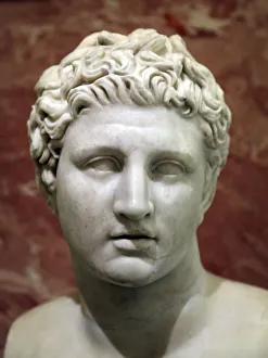The Art Collector Prints: Head of Meleager, 2nd century