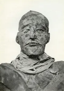 Ramses Iii Prints: Head of the mummy of Rameses III