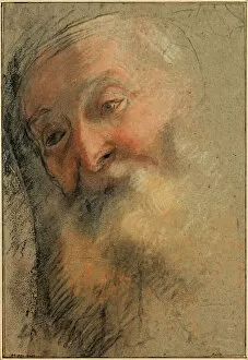 Head of an Old Bearded Man, 1584-1586. Artist: Barocci, Federigo (1528-1612)