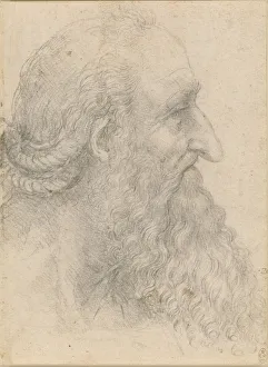 The head of an old bearded man, ca 1517. Creator: Leonardo da Vinci (1452-1519)