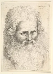 Head of an old man with a large beard, 1645. Creator: Wenceslaus Hollar