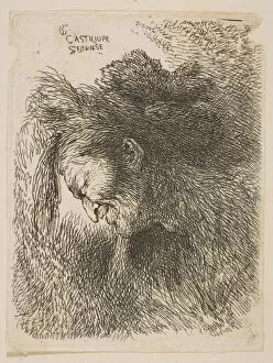 Castiglione Gallery: Head of an old man looking down, facing left, from the series Small Studies of He