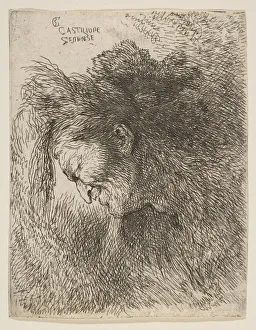 Head of an old man looking down, facing Left, from the series of Small Heads in... ca