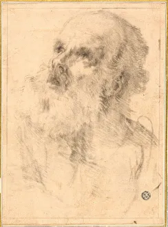Head of an Old Man, n.d. Creator: Bartolomé Esteban Murillo