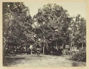 Tim Osullivan Prints: Head-Quarters, New York Herald, Army of the Potomac, September 1863