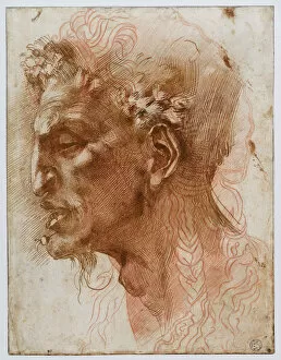 Brown Indian Ink On Paper Gallery: Head of a Satyr. Creator: Buonarroti, Michelangelo (1475-1564)