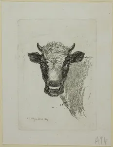 Reinhart Johann Christian Prints: Head of a Young Bull, from Die Zweite Thierfolge, 1803. Creator: Johann Christian Reinhart