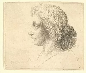 Da Vinci Leonardo Collection: Head of young man with long hair in profile to the left, 1644-52