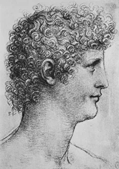 Head of a Youth in Profile to the Right, c1480 (1945). Artist: Leonardo da Vinci Head of a Youth in Profile to the Right, c1480 (1945). Artist: Leonardo da Vinci