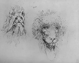 Two Heads of Monsters, c1480 (1945). Artist: Leonardo da Vinci