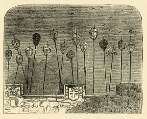 George Walter Thornbury Prints: Heads on Old London Bridge, (c1872). Creator: Unknown